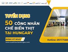 Cty Xkld Vov Viet Nam Tuyển Dụng Lao Động Tại Mỹ