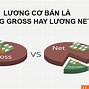 Lương Cơ Bản Khi Nào Tăng