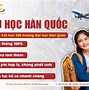 Texgamex Xkld Hàn Quốc 2024 Pdf Download Free Reddit