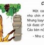 Trạng Từ Tiếng Pháp